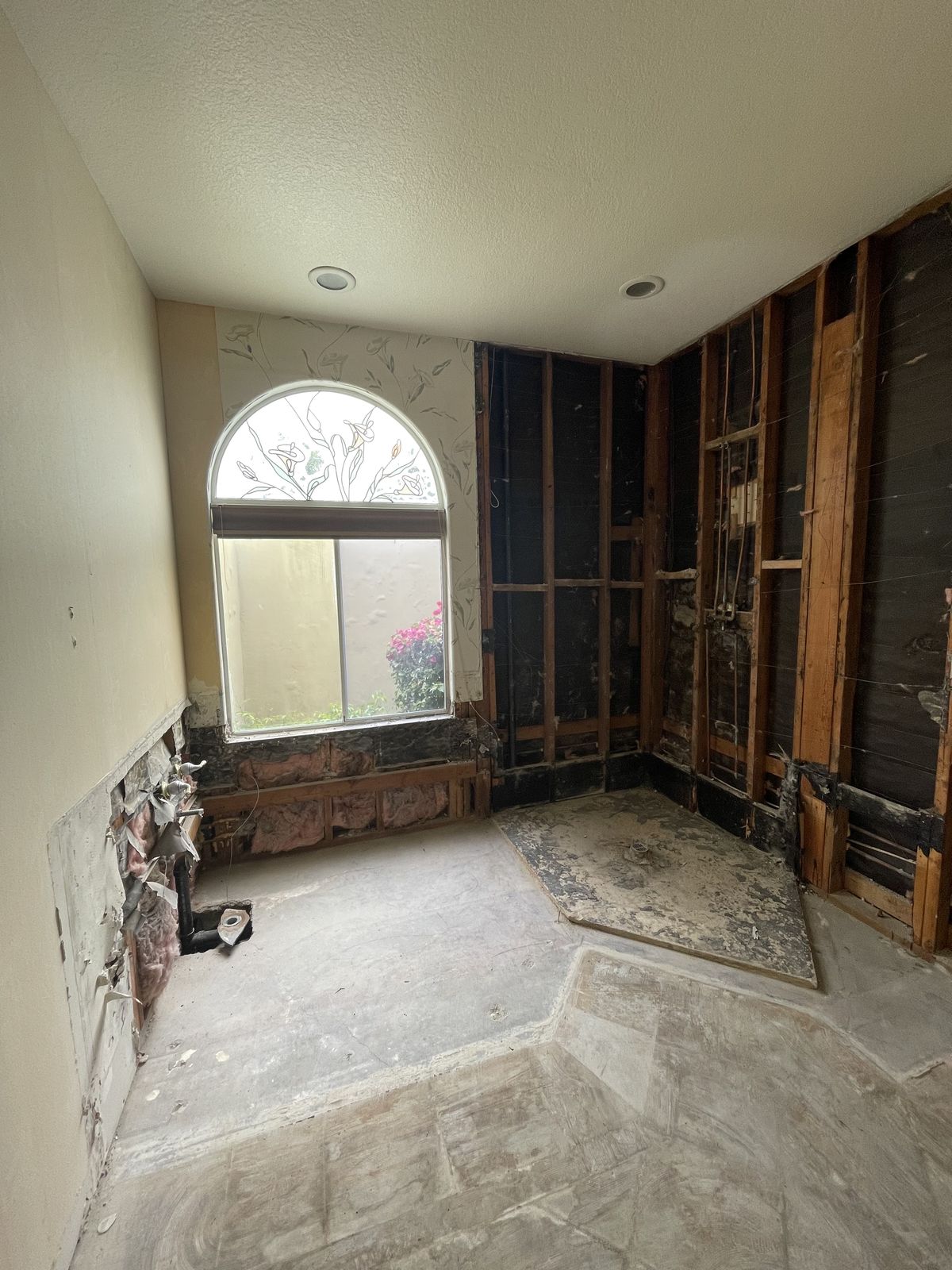 Interior ceiling tearout with arched window